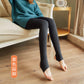 Fake meat stewardess gray one-piece transparent pants thin spring and autumn bare legs pantyhose winter plus velvet leggings women's outer wear